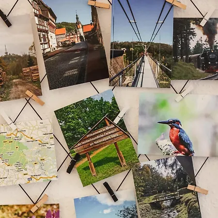 Rose Apartment Walkenried