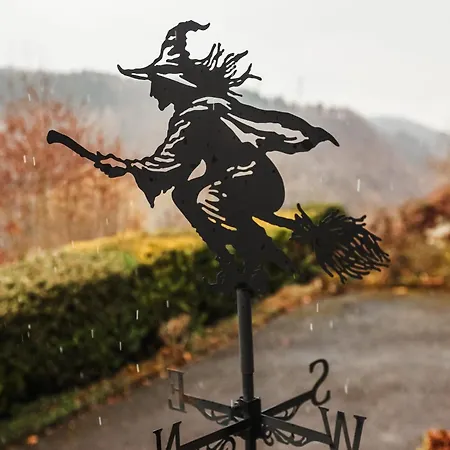 Rose Apartment Walkenried